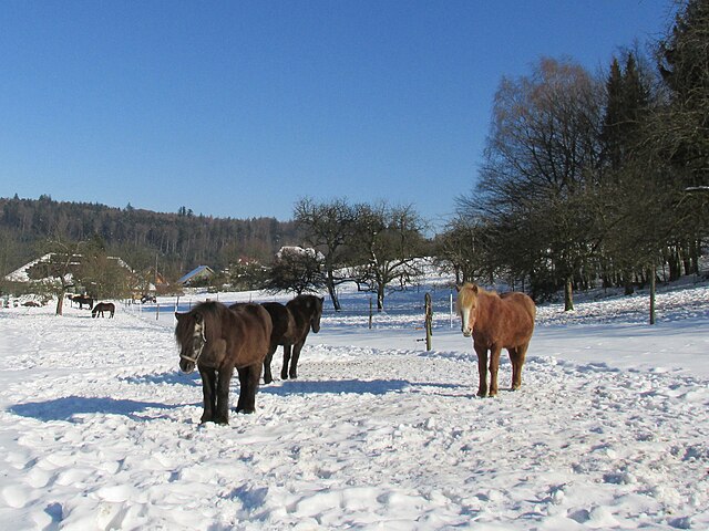 Vacation destination 2